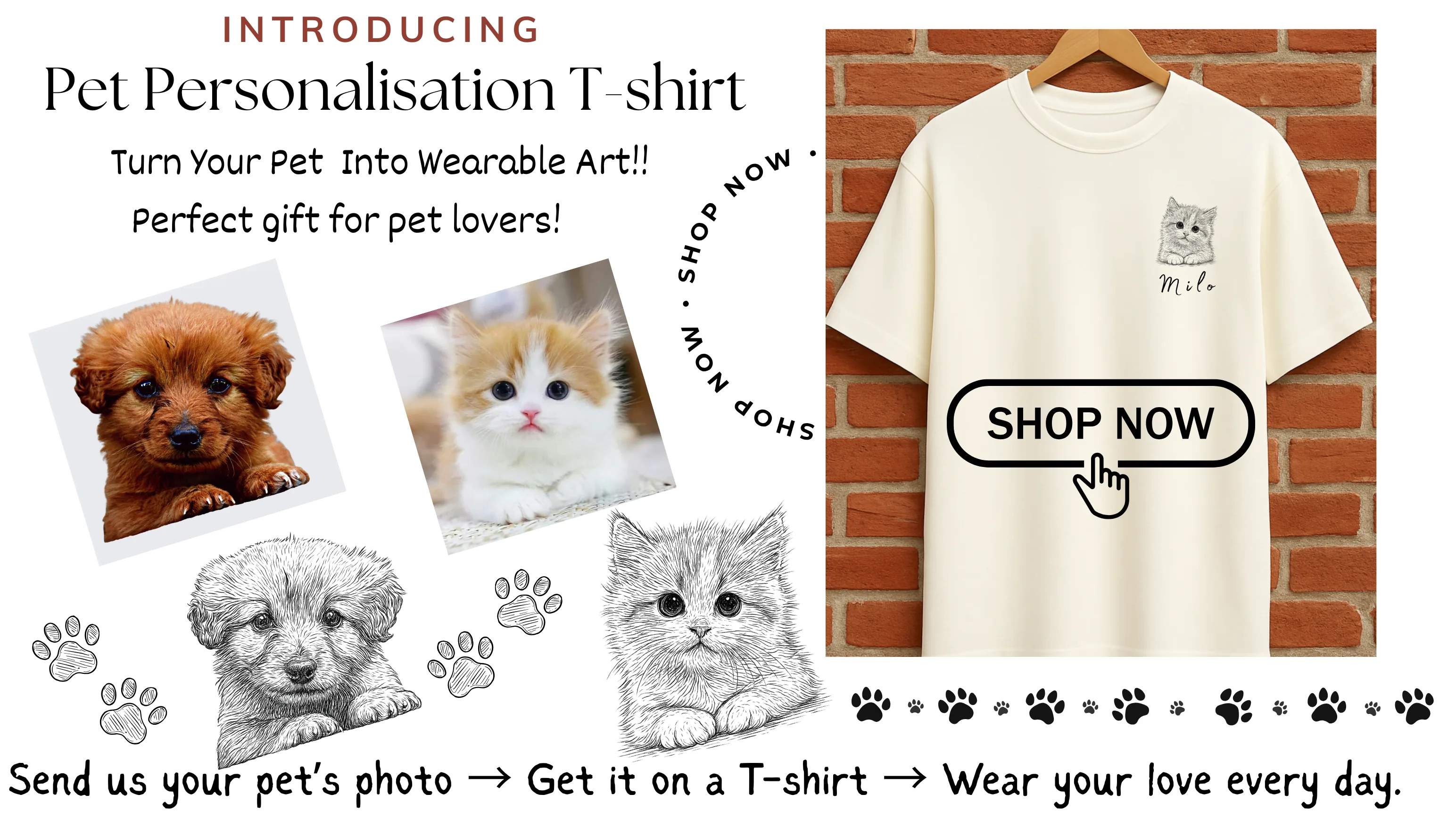 New Product Arrival (2)
